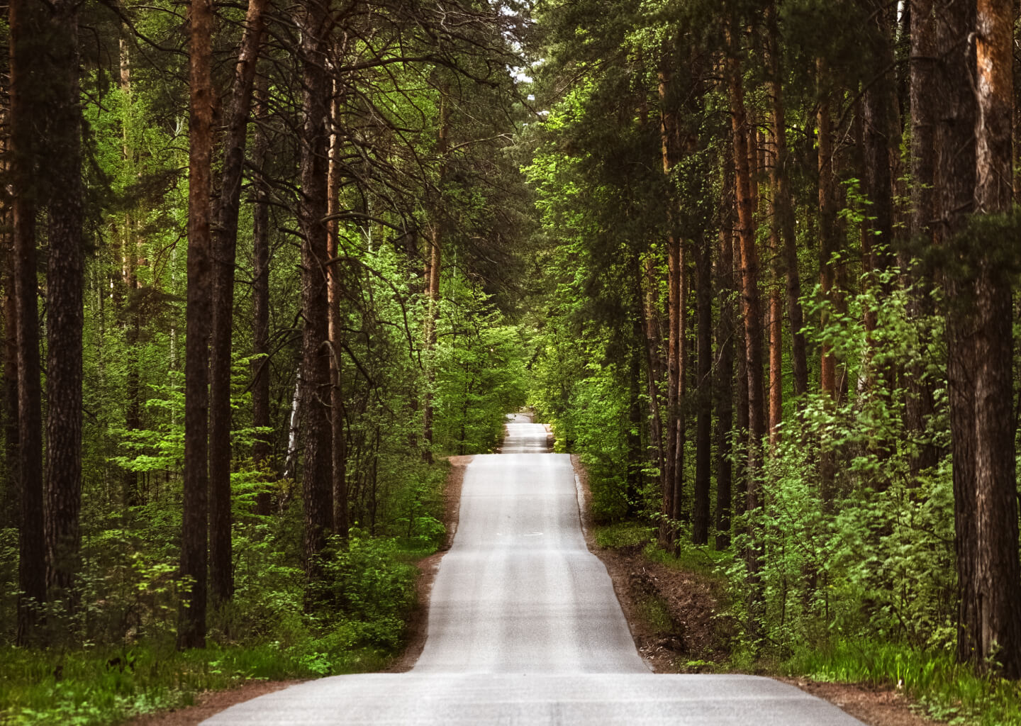 Psychotherapy in Toronto Get Reconnected