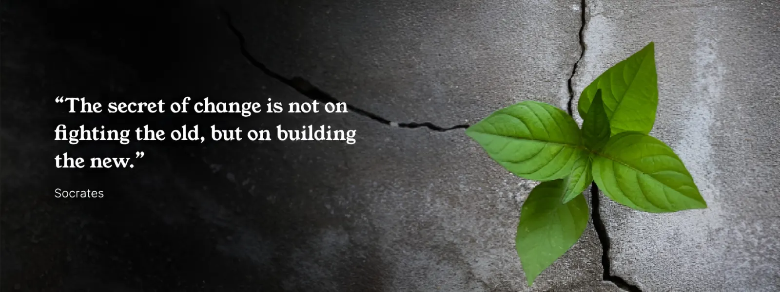 “The secret of change is not on fighting the old, but on building the new.” Socrates