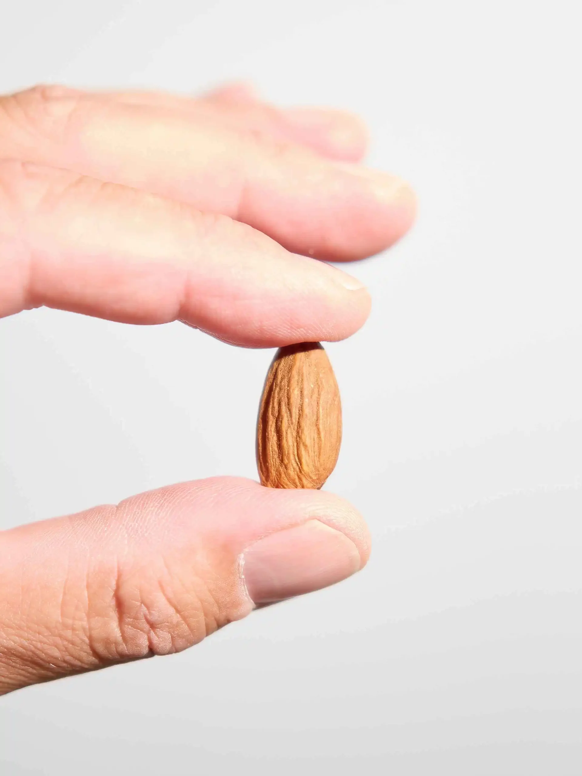 ecological-almonds-fight-flight-response