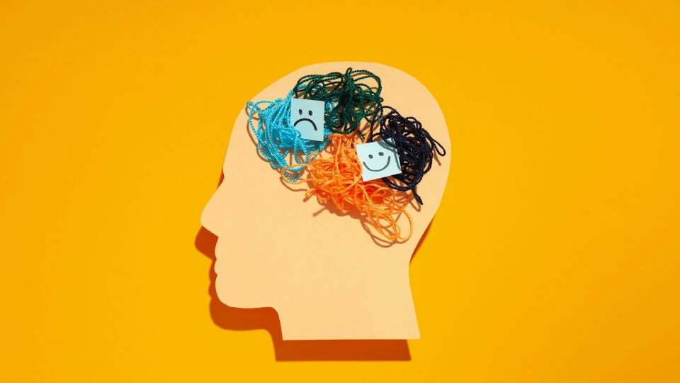 emotions-shape-brain