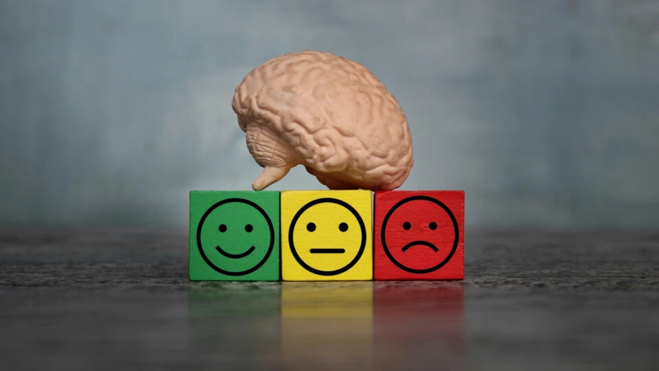insights-on-emotions
