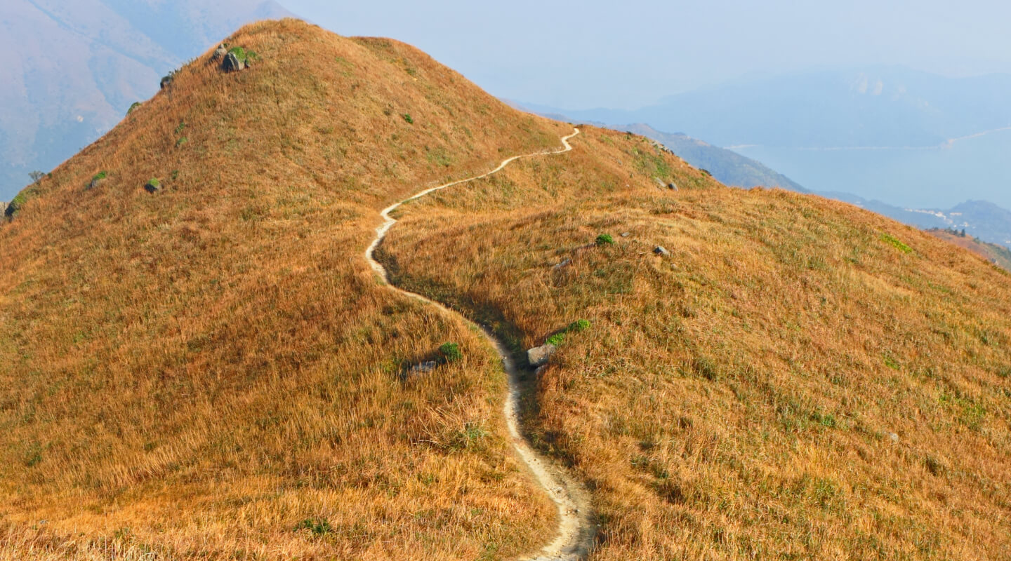 finding way forward after trauma