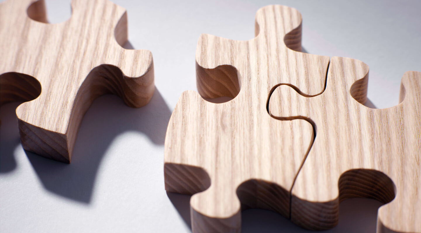 pieces of the trauma puzzle