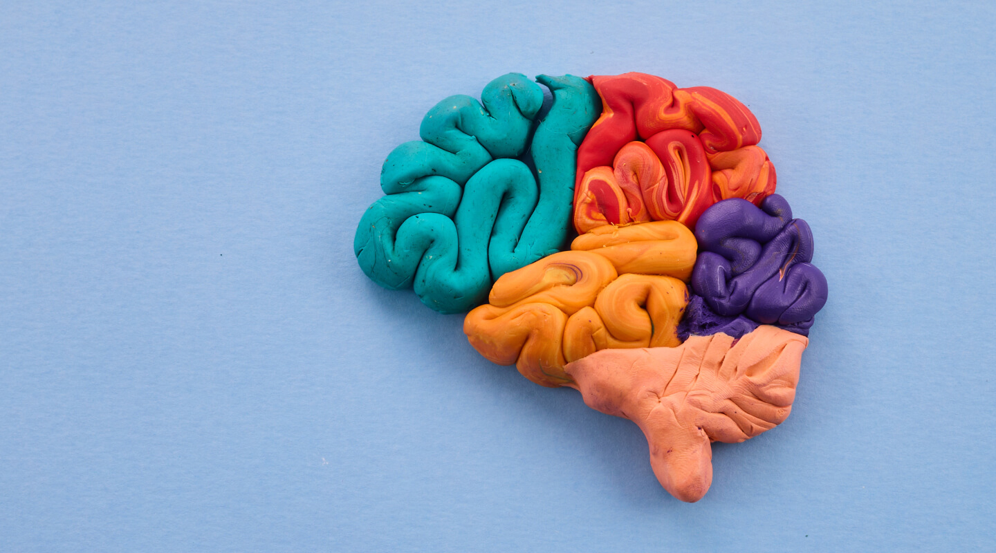trauma and the brain
