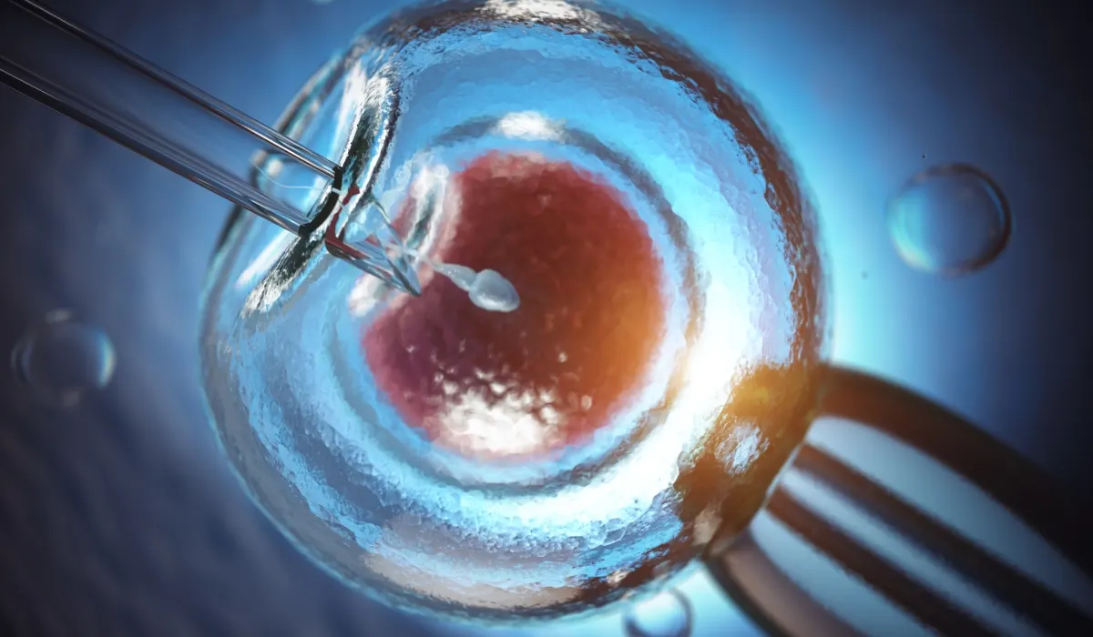 Egg fertilization IVF counselling