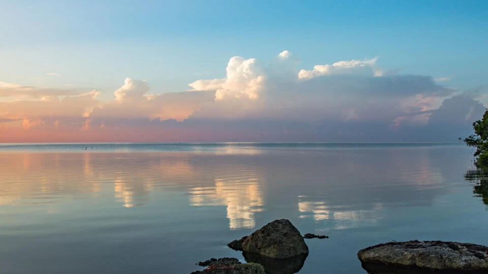 mindfullness-calms-anxious-feelings